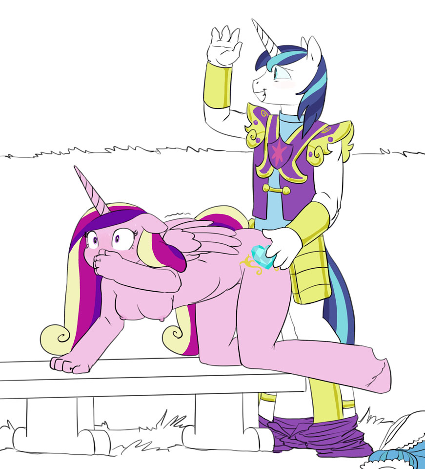 2015 all_fours anthro anthrofied bench blue_hair blush breasts caught clothed_sex clothing cutie_mark doggystyle duo equine female friendship_is_magic from_behind hair hand_on_butt horn male male/female mammal multicolored_hair my_little_pony nipples nude princess_cadance_(mlp) public sex shining_armor_(mlp) siansaar smile two_tone_hair unicorn winged_unicorn wings