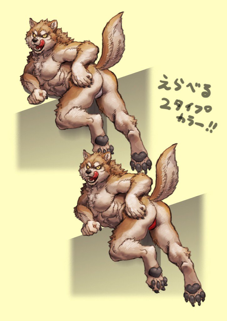 abs bulge butt canine clothing emboss0320 japanese_text looking_at_viewer male male/male mammal mooning muscular presenting presenting_hindquarters simple_background solo text translation_request underwear wolf