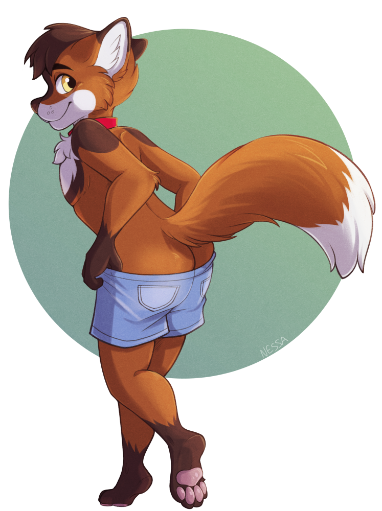 2015 anthro body_hair brown_fur brown_hair buster_maru butt canine chest_hair clothing collar fur hair hindpaw inner_ear_fluff looking_at_viewer looking_back male mammal maned_wolf multicolored_fur orange_fur pants pants_pull pawpads paws presenting presenting_hindquarters raised_tail shorts simple_background smile strawberryneko teasing white_fur yellow_eyes