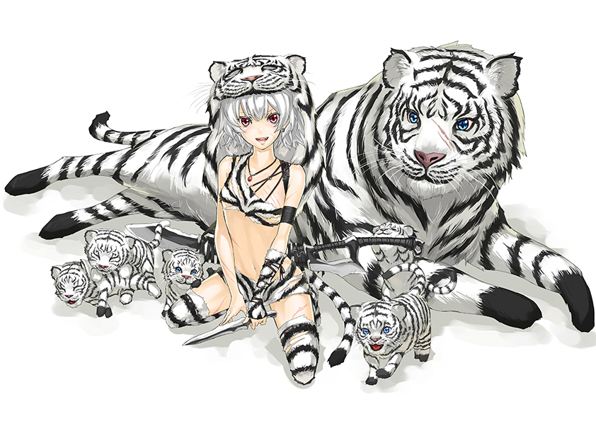 cub dagger kneeling kurogin original red_eyes scar short_hair solo sword tail thighhighs tiger weapon white_hair white_tiger