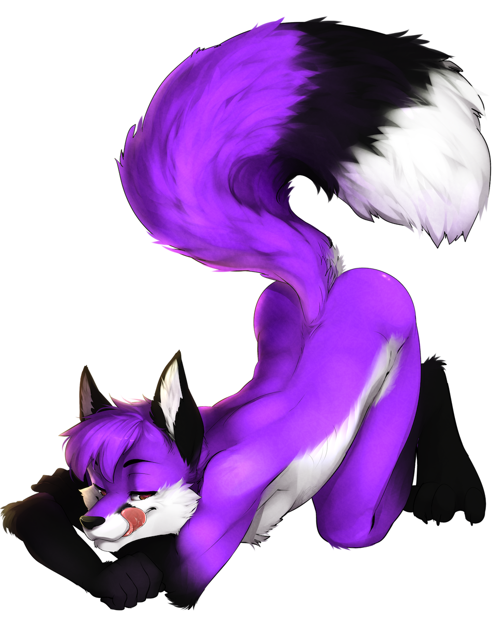 all_fours ass_up bent_over black_fur brown_eyes butt canine caylen fluffy_tail fox front_view fur licking looking_at_viewer lying male mammal on_front purple_fur saliva solo tongue tongue_out tylowell wagging white_fur wiggle