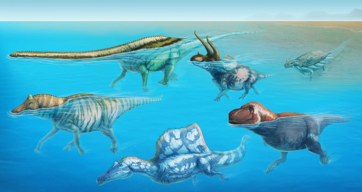 ambiguous_gender back_spines ceratopsian claws dinosaur edmontosaurus feral group hadrosaurid nodosaurus ornithischian partially_submerged reptile sauropod scales scalie swimming taylor_mccoy theropod triceratops tyrannosaurid tyrannosaurus tyrannosaurus_rex