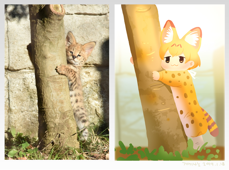 1girl :3 animal animal_costume animal_ear_fluff animal_ears blonde_hair bow cat_ears check_commentary chibi commentary_request cosplay costume dated extra_ears fake_animal_ears grass kemono_friends korean_commentary no_nose object_hug onesie photo-referenced reference_photo roonhee serval serval_(kemono_friends) serval_ears serval_girl serval_print serval_tail signature spots tail tree under_tree white_bow white_footwear