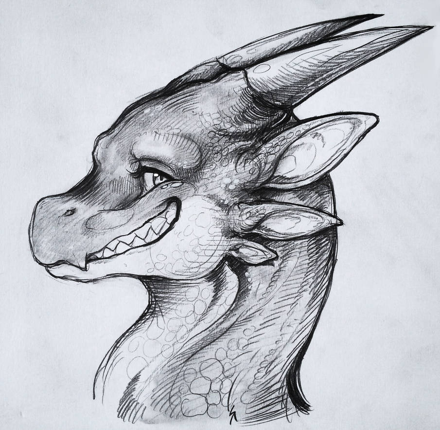 dragon feral shon2 smile tavix