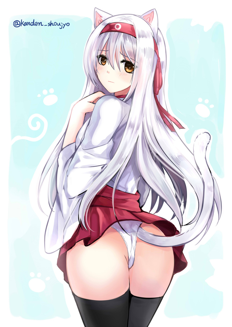 animal_ears ass kantai_collection mafuyu nekomimi pantsu shoukaku_(kancolle) tail thighhighs