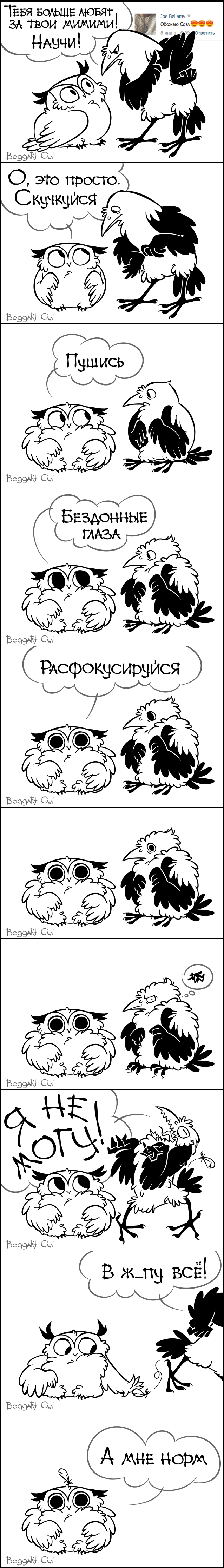 absurd_res avian bird black_border boggartowl border comic corvid crow crow_(bc999) dialogue duo hi_res owl owl_(boggartowl) russian_text simple_background speech_bubble text translated white_background