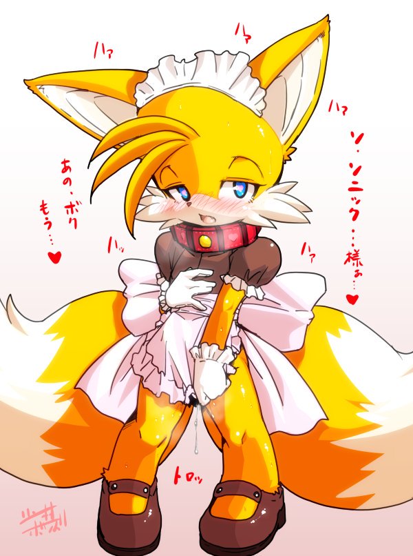 &lt;3 &lt;3_eyes anthro blush canine collar crossdressing cute dripping fox girly male mammal miles_prower shaolin_bones solo sonic_(series) text translation_request