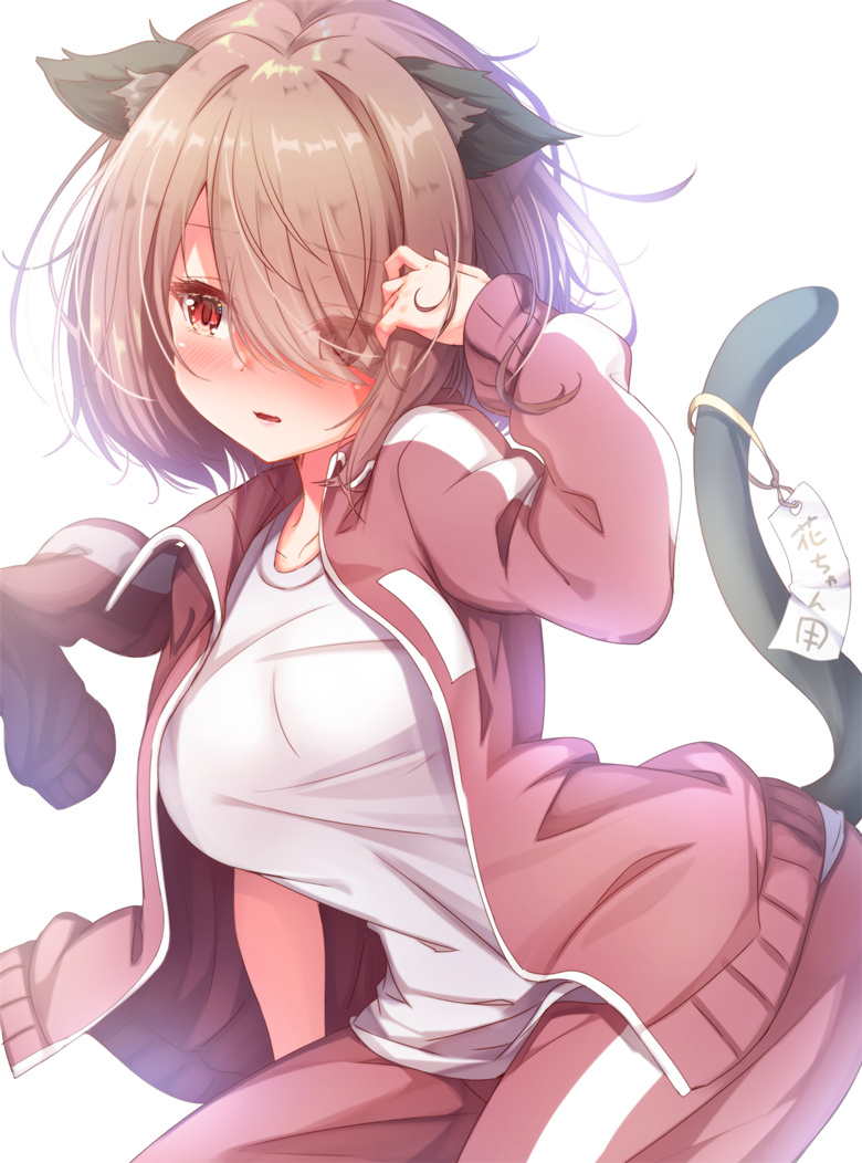 1girl animal_ears bangs blush breasts brown_hair brown_jacket brown_pants cat_day cat_ears cat_girl cat_tail commentary_request eyebrows_visible_through_hair eyes_visible_through_hair hair_over_one_eye hand_up hoshino_miyako_(wataten) jacket kemonomimi_mode large_breasts long_sleeves looking_away matokechi open_clothes open_jacket pants parted_lips red_eyes shirt simple_background solo tail tail_raised track_jacket track_pants track_suit watashi_ni_tenshi_ga_maiorita! wavy_mouth white_background white_shirt