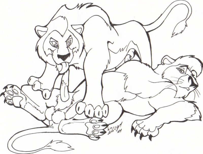 balls blaquetygriss erection feline feral licking lion male male/male mammal oral penis sketch tongue tongue_out