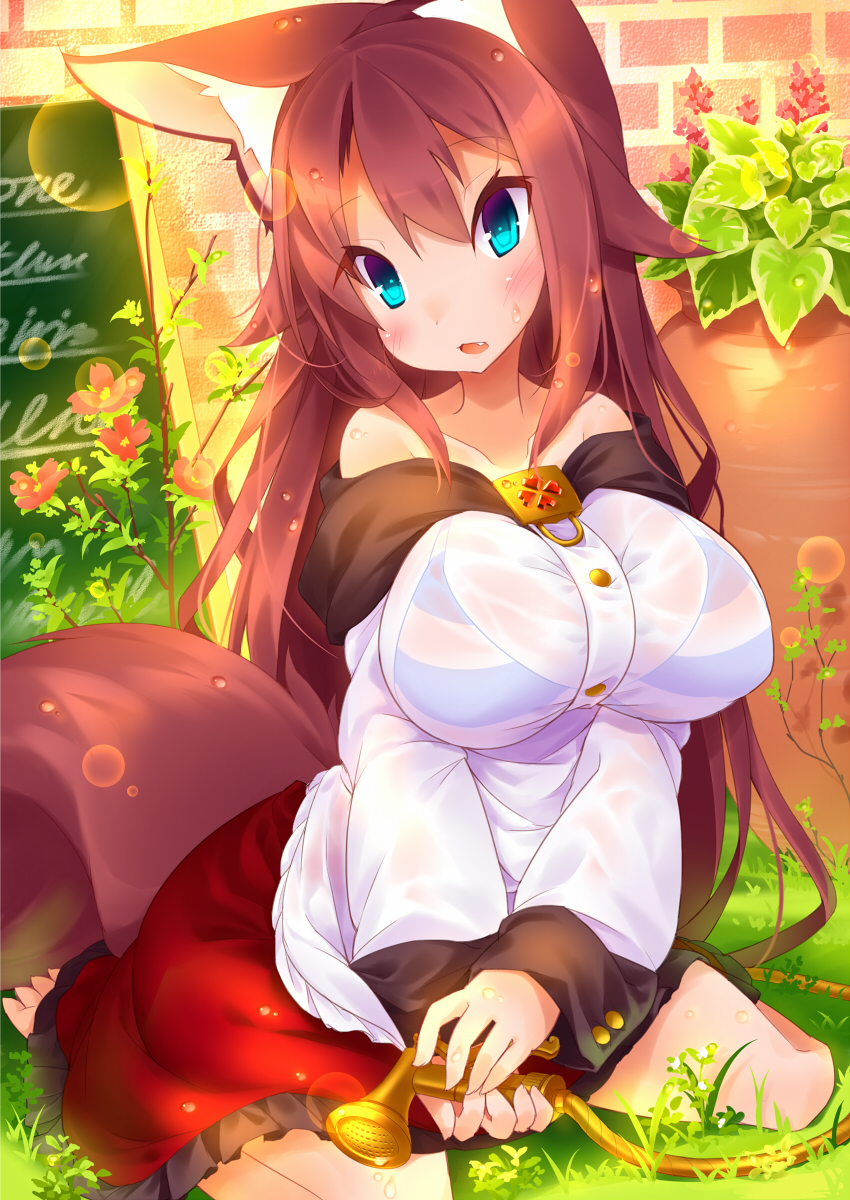 animal_ears bare_shoulders barefoot blue_eyes blush bra breasts brown_hair chalkboard fang flower grass highres hose huge_breasts imaizumi_kagerou koha long_sleeves looking_at_viewer open_mouth plant potted_plant see-through shirt sitting skirt solo striped striped_bra tail touhou underwear wet wet_clothes wet_shirt wolf_ears wolf_tail