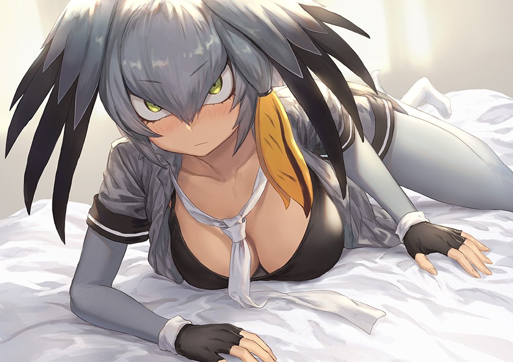 1girl bird_tail bird_wings black_hair blonde_hair blush collarbone commentary_request elbow_gloves eyebrows_visible_through_hair fingerless_gloves gloves green_eyes grey_hair guchico hair_tie head_wings kemono_friends loose_necktie multicolored_hair necktie no_shoes on_bed pantyhose shoebill_(kemono_friends) short_hair short_sleeves shorts solo uniform wings