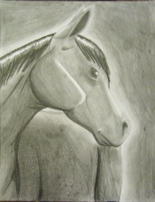 2010 ambiguous_gender equine feral greyscale horse mammal mane monochrome pencil_(artwork) pointy_ears quadruped snowhawk_(artist) solo traditional_media_(artwork)