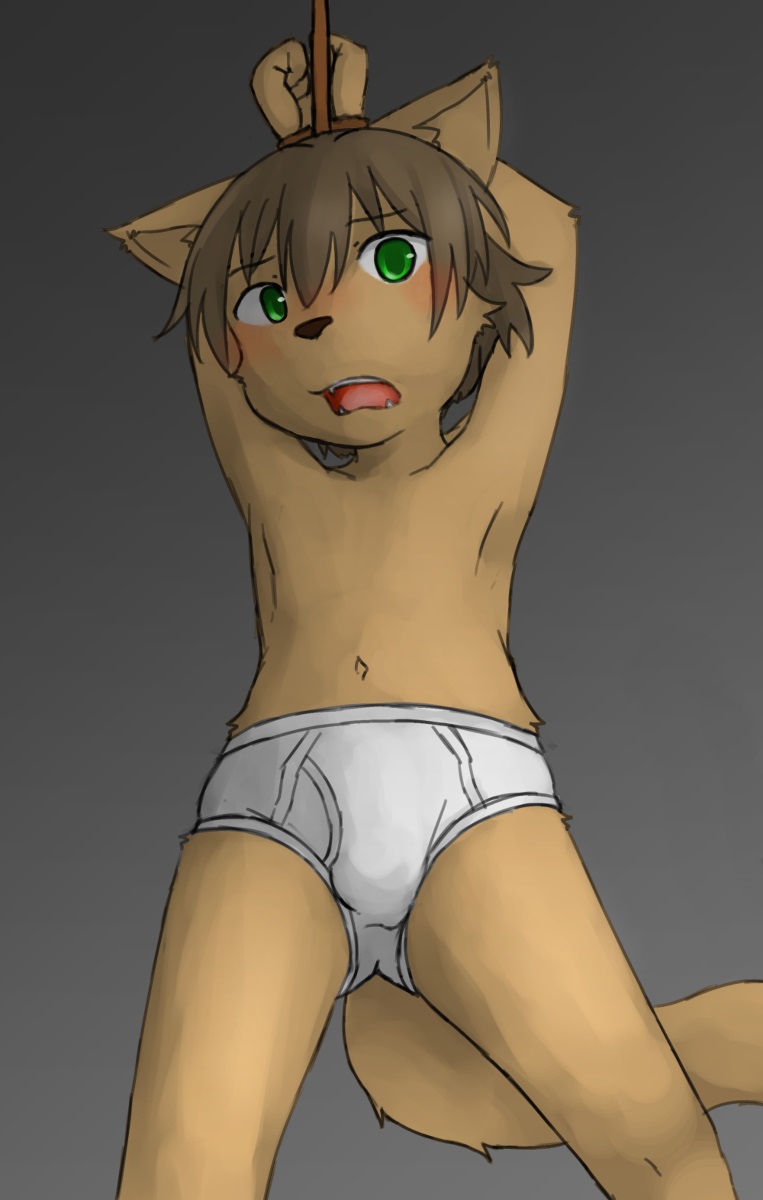 anthro armpits blush bound brown_fur brown_hair canine clothed clothing cub edit fox front_view fur green_eyes hair hi_res looking_at_viewer male mammal raised_arm restrained rope sfh short_hair solo solo_focus topless underwear young