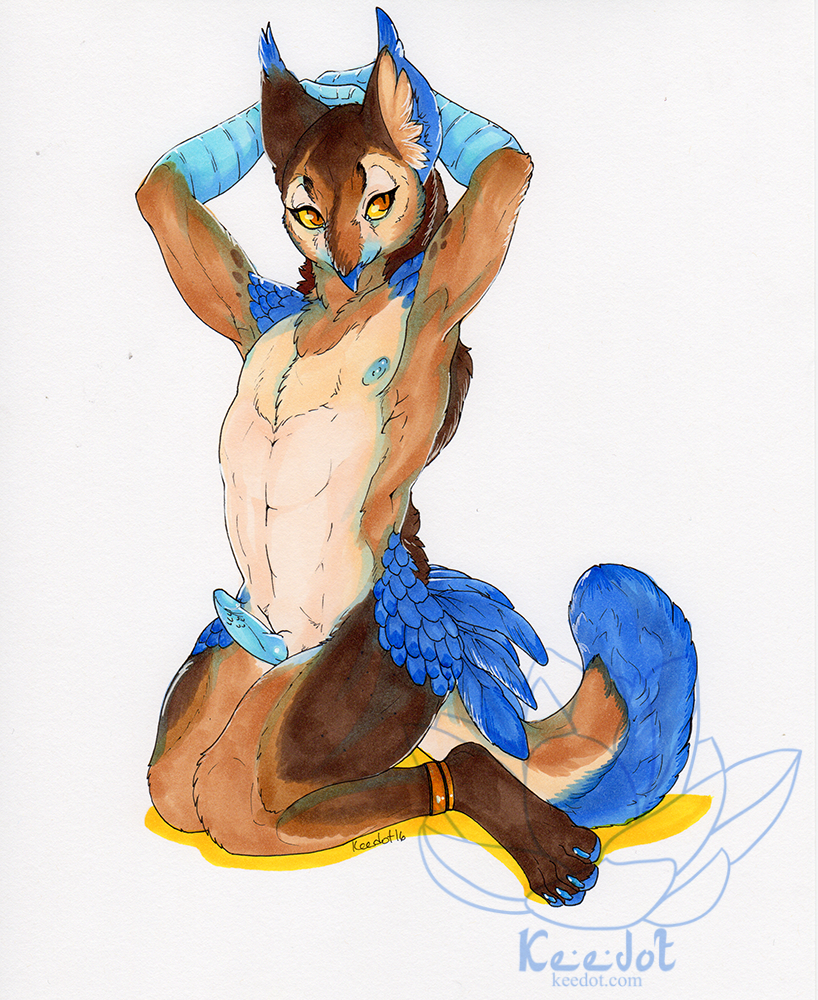 2016 anthro avian beak bird blue_claws blue_feathers blue_fur blue_nipples blue_pawpads blue_scales brown_fur claws english_text erection feathers fur gryphon hybrid keedot kneeling male nipples nude owl pawpads pinup pose red_eyes scales signature simple_background slit_pupils solo text toe_claws watermark white_background yellow_sclera