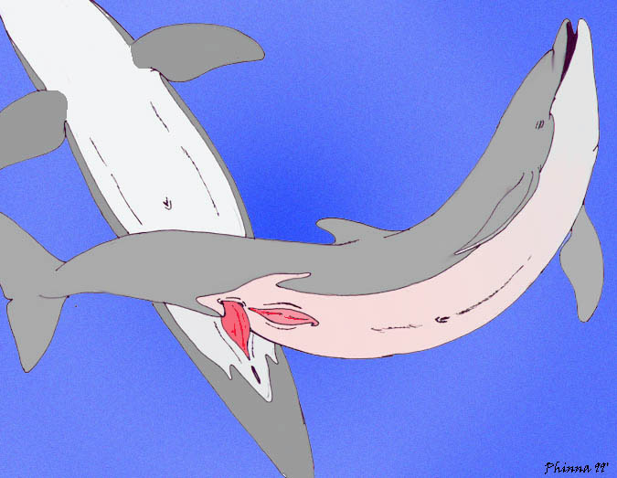 1999 anal animal_genitalia cetacean dolphin duo erection feral male mammal marine nude penis phinna simple_background whale