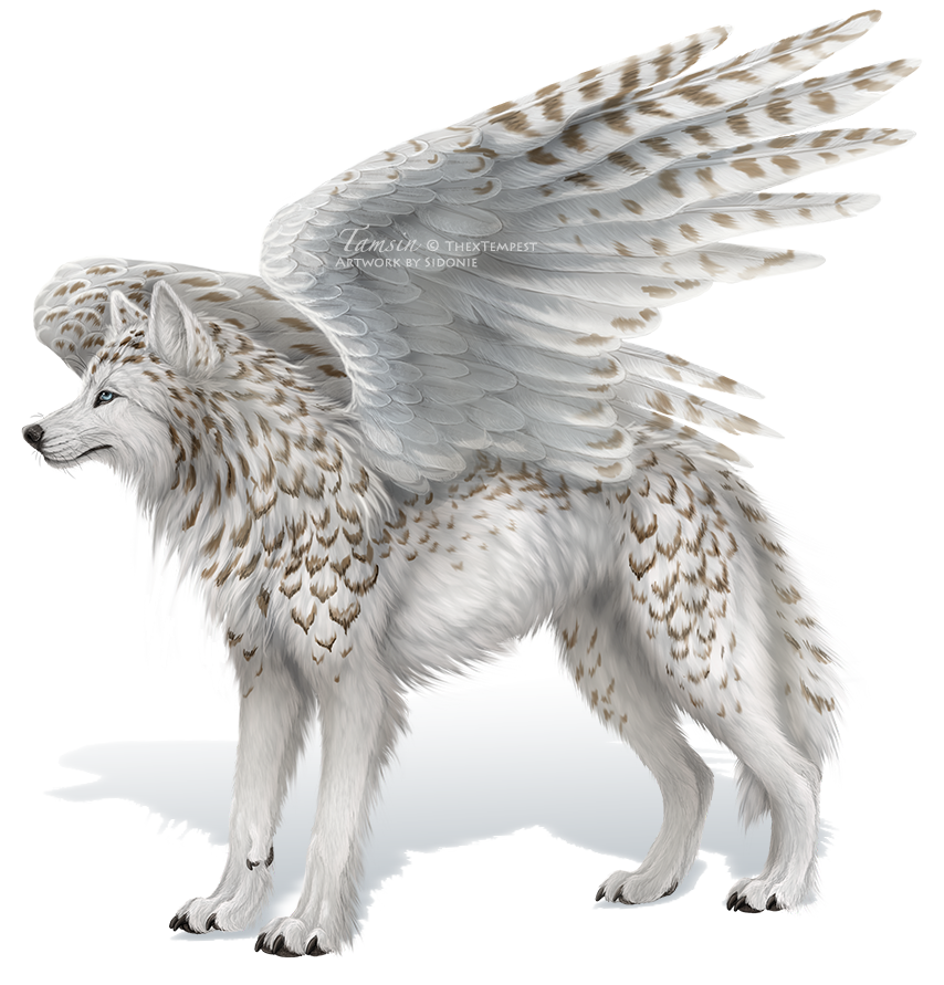 ambiguous_gender blue_eyes brown_fur canine feathers fur mammal sidonie simple_background solo standing tagme tamsin white_fur winged_wolf wings wolf