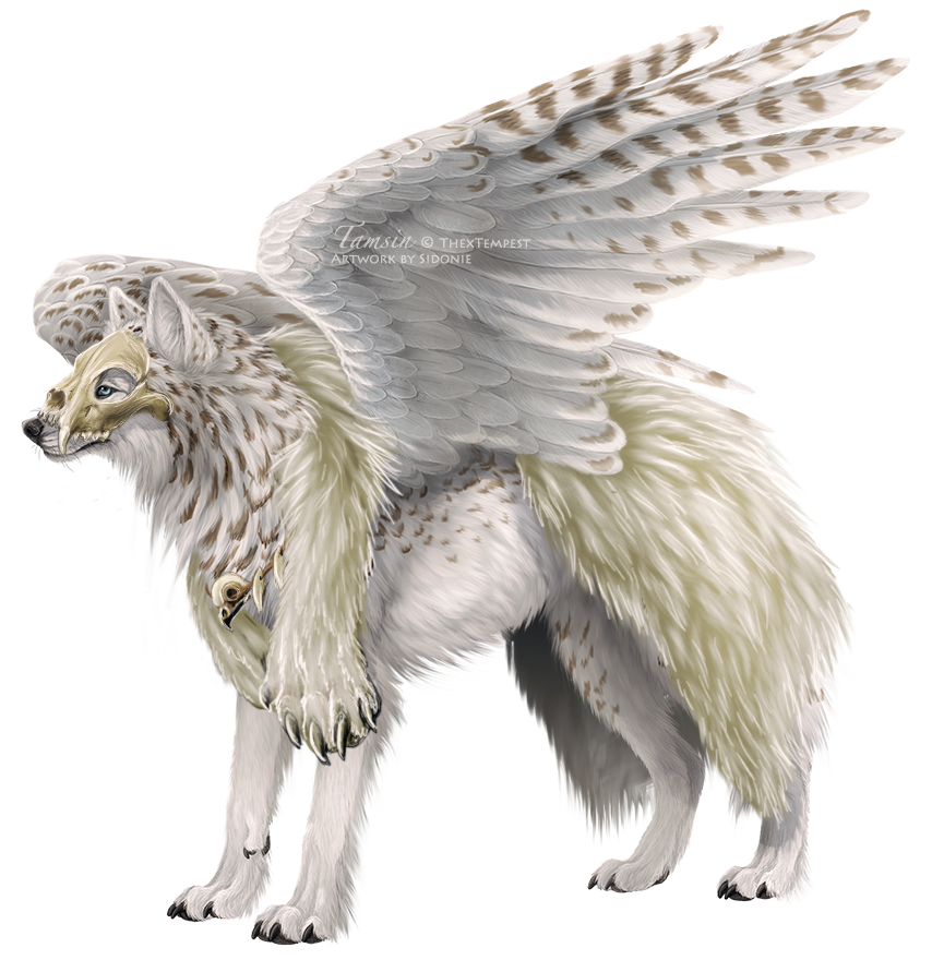 ambiguous_gender blue_eyes brown_fur canine feathers feral fur mammal paws sidonie solo standing tamsin tribal white_fur winged_wolf wings wolf