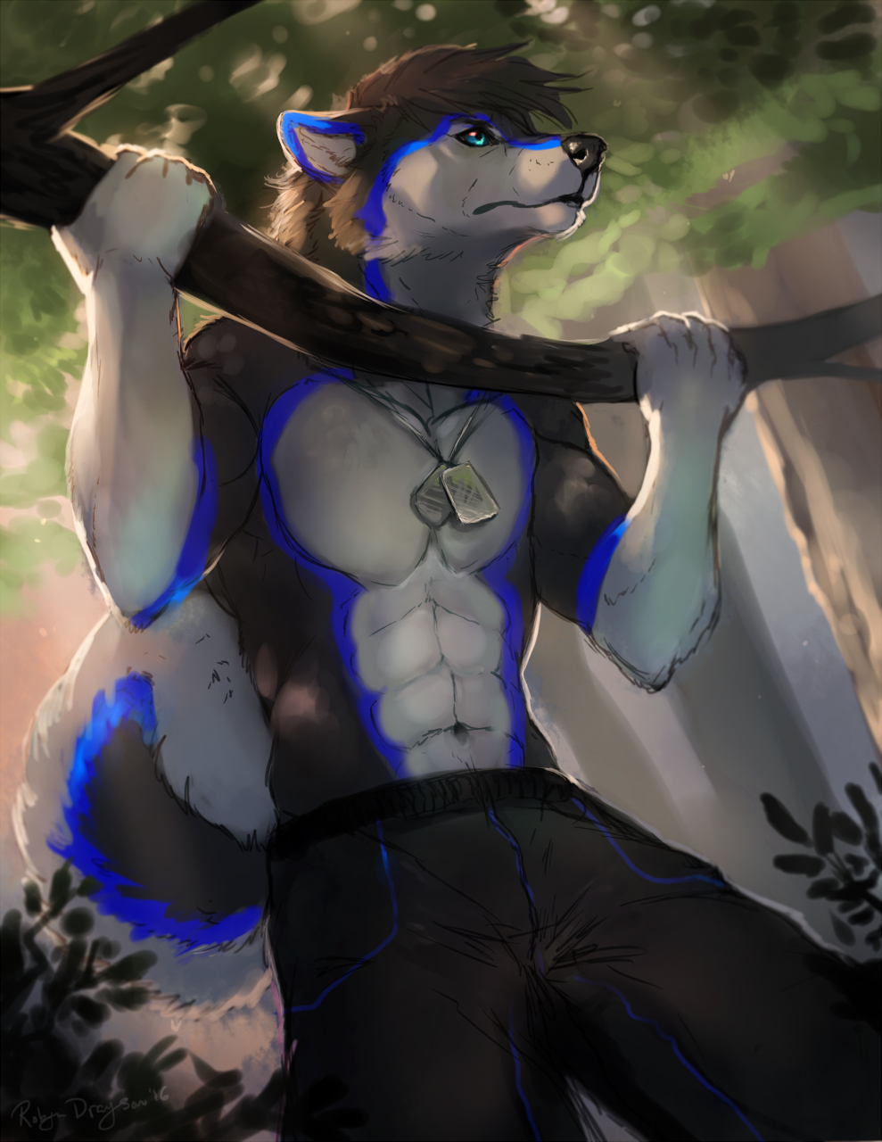 2016 5_fingers anthro black_fur black_hair blue_eyes blue_fur canine clothing day dog dog_tags exercise fluffy fluffy_tail forest fur hair husky male mammal muscular navel outside pants rhyu solo tree tree_branch workout