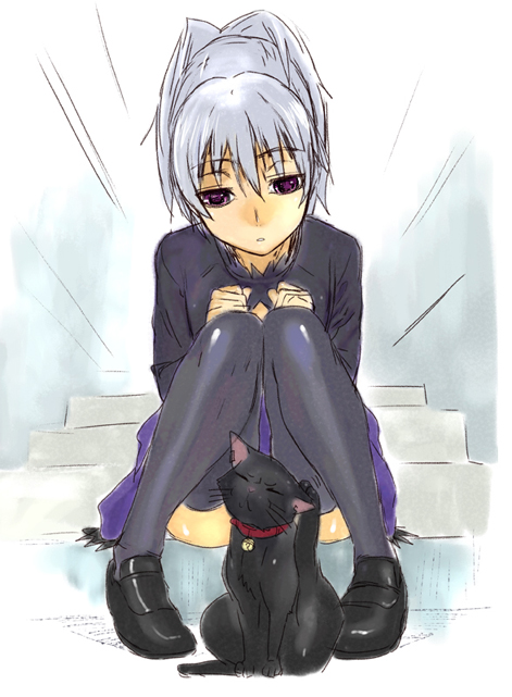 animal ashiomi_masato bell bell_collar between_legs black_cat cat cat_between_legs collar darker_than_black dress knees_together_feet_apart loafers mao_(darker_than_black) purple_eyes scratching shoes silver_hair sitting solo stairs thighhighs yin