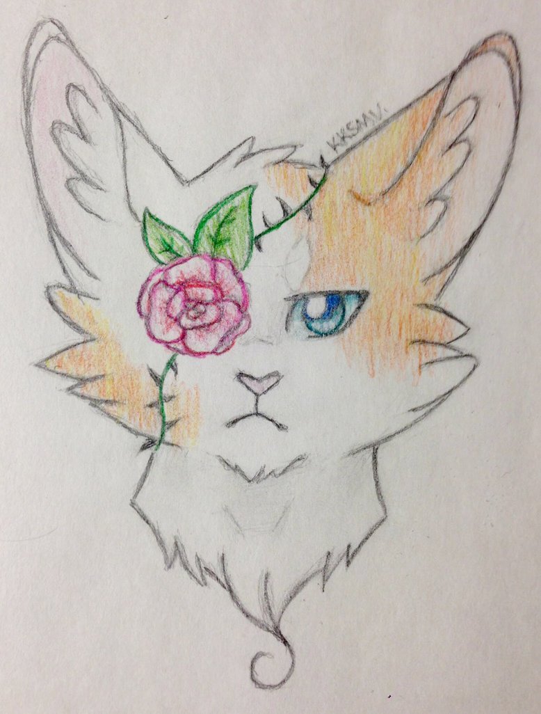 artistic brightheart_(warriors) creative eye_patch eyewear feral fluffy headshot traditional_media_(artwork) warriors_(cats) whoever_this_guy_is_it_aint_me