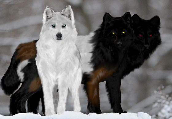 ambiguous_gender atheus black_fur blue_eyes brown_fur canine edit feral fur group killertompie kriiduin lucifelle mammal multicolored_fur red_eyes shopped snow white_fur wolf yellow_eyes