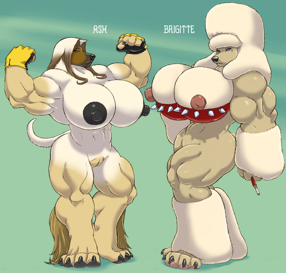 abs afghan breasts canine cigarette clothing dog female flexing gideon hair invalid_tag mammal muscular nipples poodle simple_background