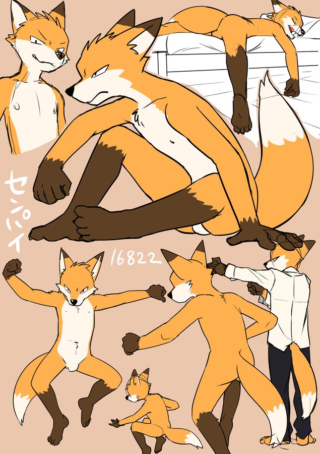 action_pose anthro barefoot bed canine clothing dress_shirt featureless_crotch flat_colors fox front_view grin guide_lines japanese_text jumping male mammal manmosu_marimo multiple_poses navel nipples nude on_bed plantigrade pose rear_view shirt sitting sketch_page sleeping solo text walking