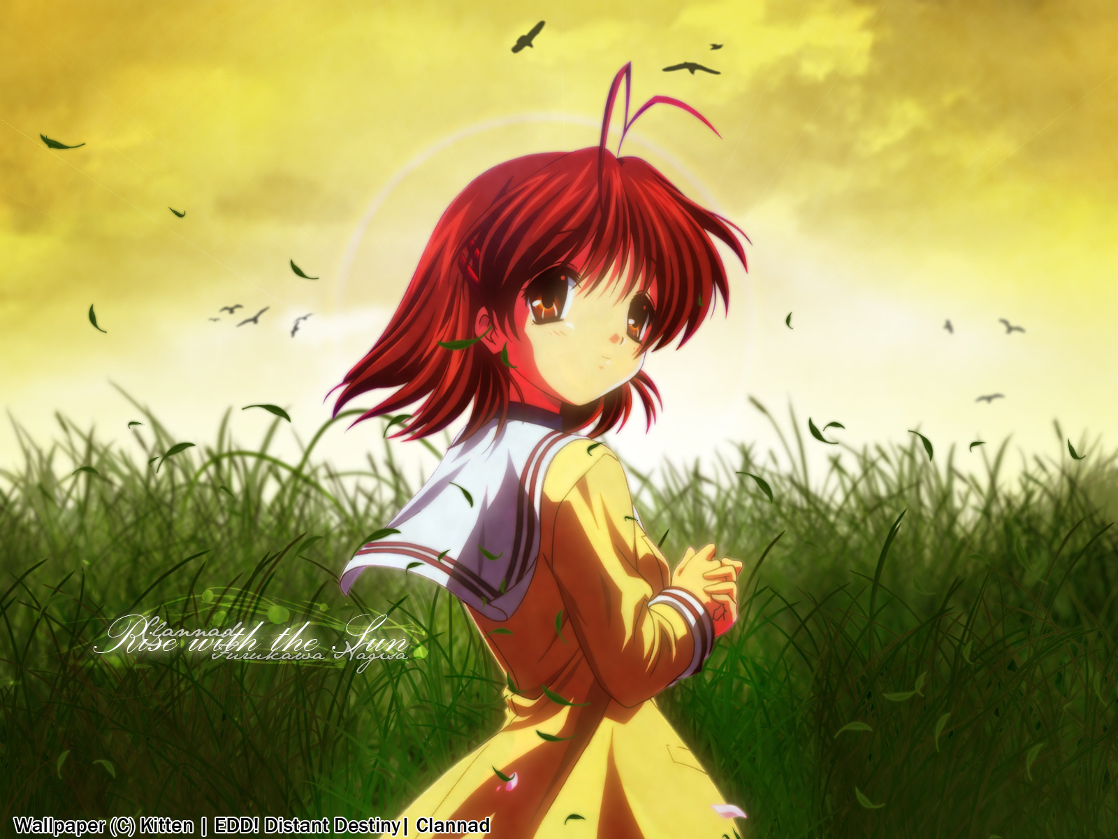 Nagisa - Clannad Photo (32964849) - Fanpop