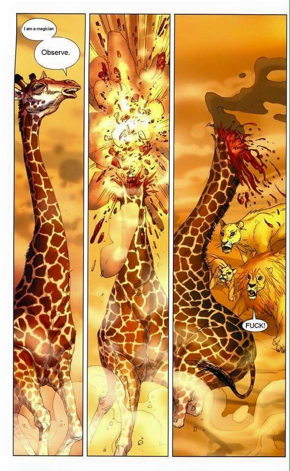 2008 ambiguous_gender arabic blood comic dialogue dust english_text explosion fangs feline female feral giraffe gore hi_res horn lion male mammal niko_henrichon open_mouth paws simple_background smoke surprise teeth text tongue what
