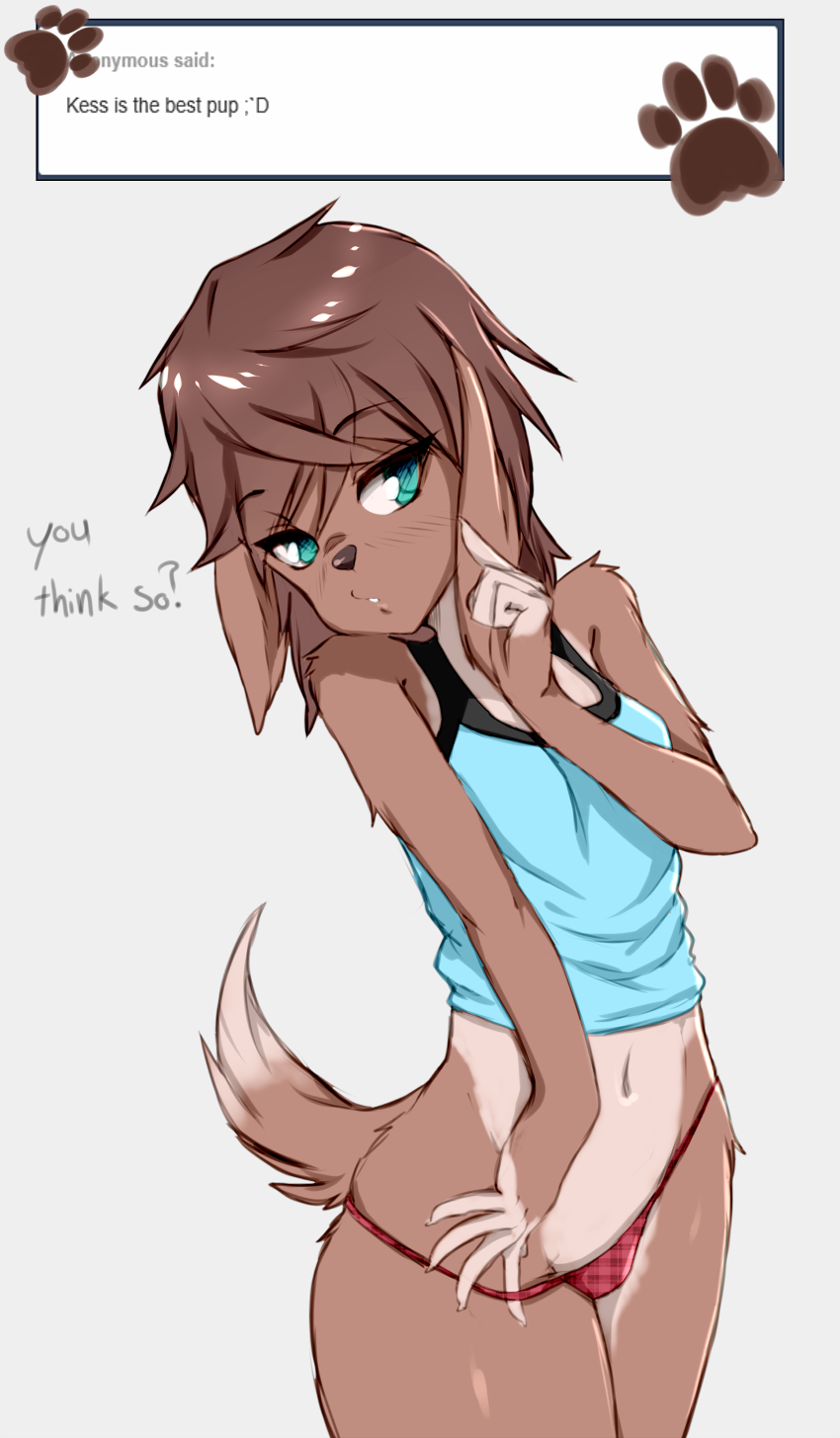 2015 anthro breasts brown_fur brown_hair canine clothed clothing coffeechicken coy dog english_text female fur hair kess mammal midriff multicolored_fur navel panties panty_pull shirt simple_background slim small_breasts solo suggestive tan_fur tank_top teal_eyes text two_tone_fur underwear young