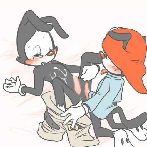 animaniacs anus black_fur blush clothed clothing cum cum_on_chest duo fur gloves hat incest male male/male mammal partially_clothed penis reclining sibling simple_background spread_legs spreading tongue wakko_warner warner_brothers yakko_warner zehn
