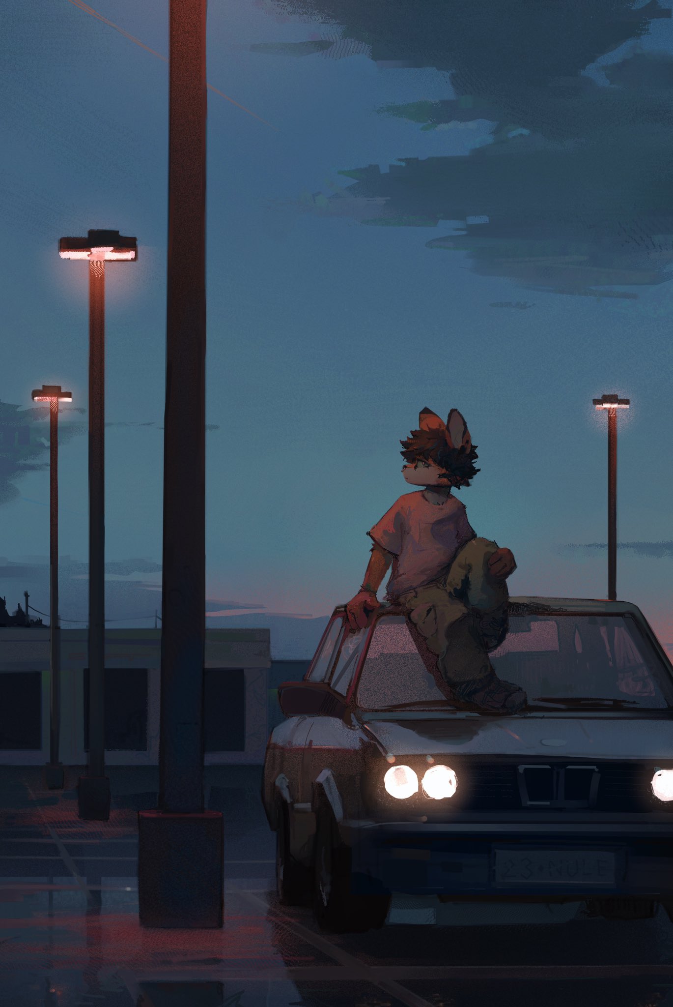anthro brown_head_tuft canid canine car clothing cloud countershade_fur countershading fox fur green_clothing green_shirt green_topwear hi_res looking_aside male mammal nulethegoat orange_body orange_fur shirt sitting_on_car sky slim_anthro slim_male solo street_lamp sunset topwear vehicle white_body white_clothing white_countershading white_fur white_shirt white_topwear