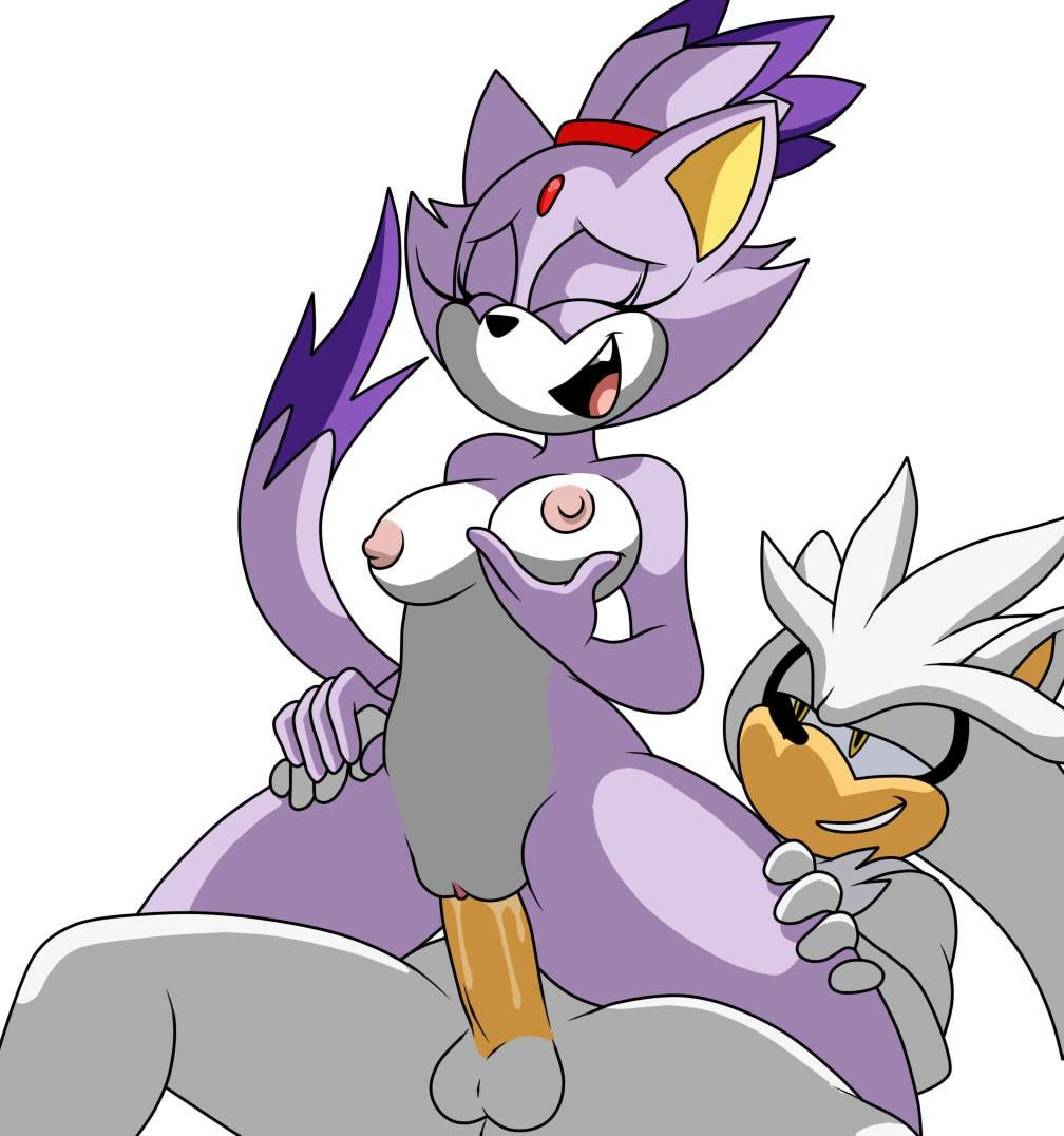 anthro anthro_on_anthro balls blaze_the_cat breasts domestic_cat duo erection eulipotyphlan eyes_closed felid feline felis female female_on_top female_penetrated grin half-closed_eyes happy happy_sex hedgehog holding_breast imbeingarealdoofus_(artist) looking_pleasured male male/female male_penetrating mammal nipples no_navel nude on_top open_mouth penetration penis pussy pussy_juice reverse_cowgirl_position sex silver_the_hedgehog simple_background smile sonic_(series) vaginal vaginal_penetration white_background