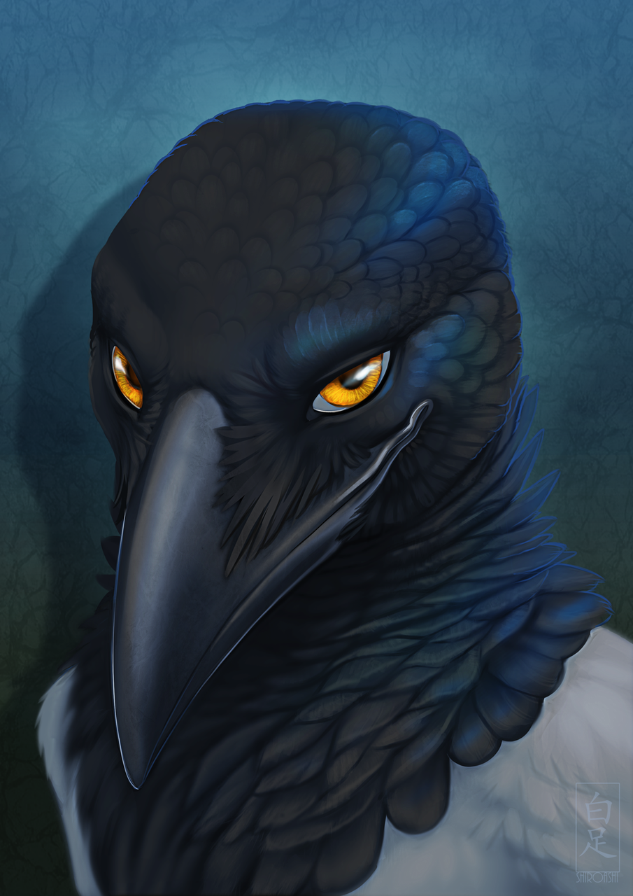 2016 ambiguous_gender anthro avian beak bird black_feathers bust_portrait character_request feathers grey_feathers looking_at_viewer magpie orange_eyes portrait shiroashi smile solo