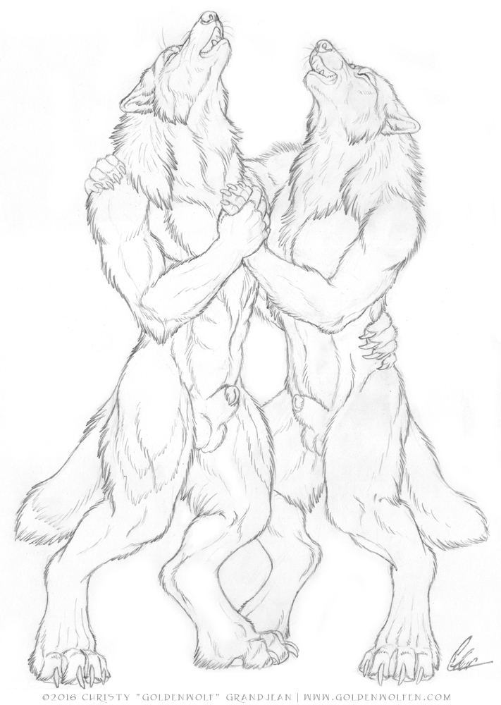 animal_genitalia anthro balls canine celestialwolf howl hug lazywolf male male/male mammal penis sheath were werewolf wolf woofy