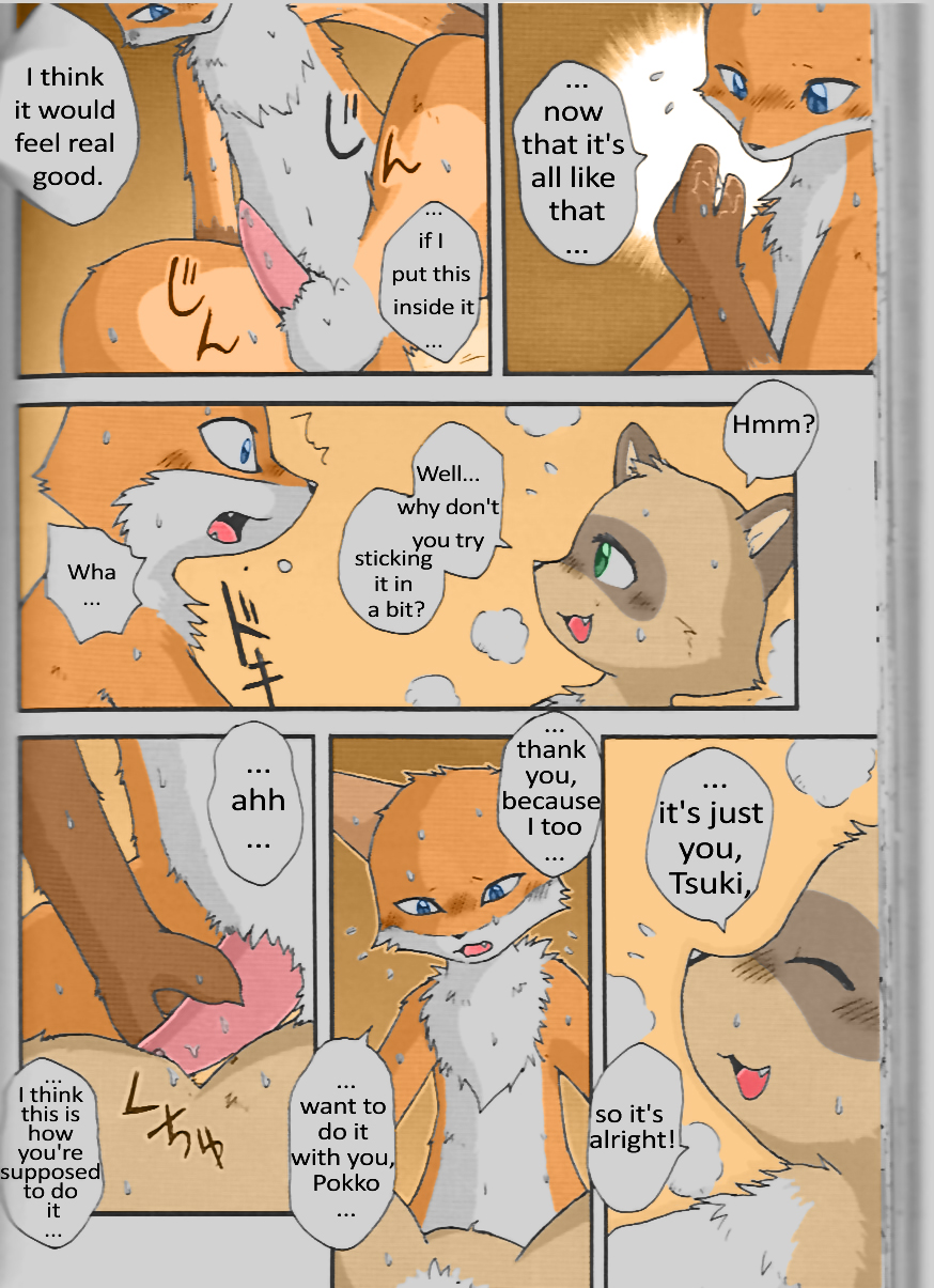 anthro canine comic dialogue duo english_text female fox male male/female mammal manga mikaduki_karasu nude penis pokko pussy raccoon text translated tsuki