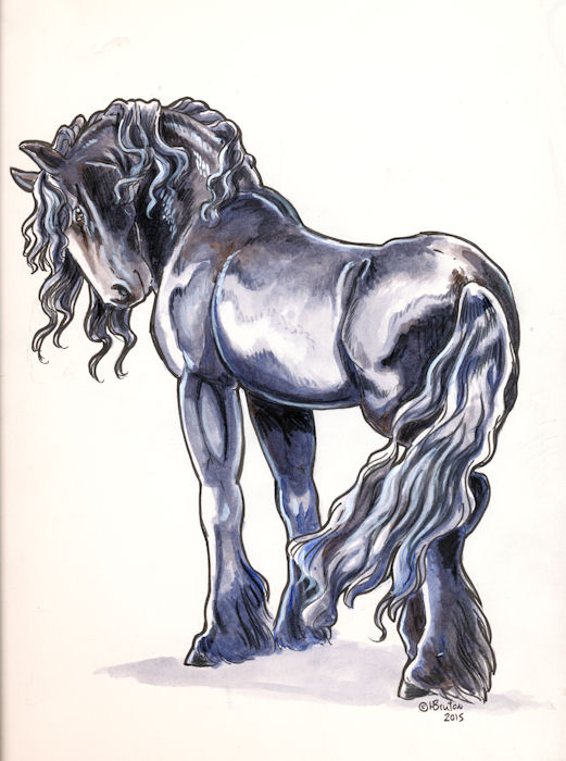 2015 ambiguous_gender black_fur black_mane black_tail draft_horse equine feathering feral friesian fur heather_bruton hooves horse long_tail looking_at_viewer mammal mane quadruped signature simple_background solo traditional_media_(artwork) watercolor_(artwork) white_background