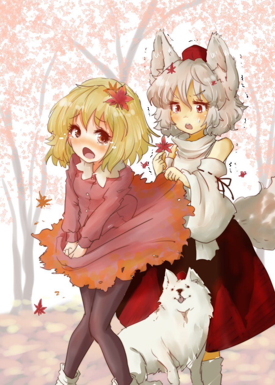 :o aki_shizuha animal animal_ears autumn autumn_leaves bangs bare_shoulders blonde_hair bobby_socks breasts brown_eyes brown_legwear commentary cowboy_shot crying crying_with_eyes_open detached_sleeves dress dress_lift eyebrows eyebrows_visible_through_hair flying_teardrops frilled_shirt_collar frills hair_ornament hand_up hat high_collar highres inubashiri_momiji leaf leaf_hair_ornament long_sleeves maple_leaf maple_tree multiple_girls open_mouth outdoors pantyhose pom_pom_(clothes) red_dress red_eyes red_skirt ribbon-trimmed_sleeves ribbon_trim shirt short_hair skirt skirt_hold sleeveless sleeveless_shirt small_breasts socks sweatdrop tail tears thick_eyebrows tikano tokin_hat tongue touhou tree turtleneck v-shaped_eyebrows wavy_hair white_hair white_legwear white_shirt wide_sleeves wolf wolf_ears wolf_tail