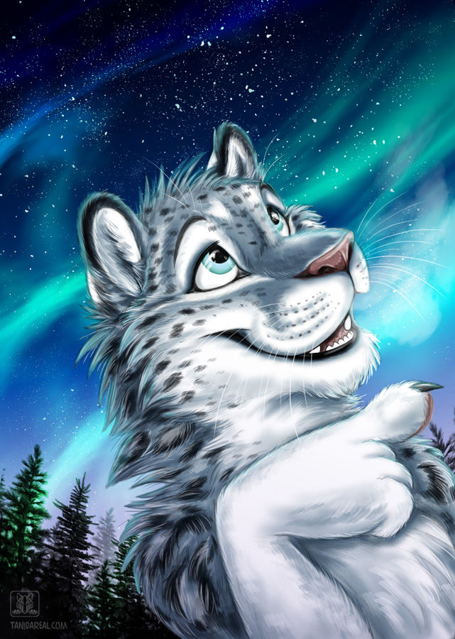 ambiguous_gender aurora_borealis blue_eyes breath conditional_dnp constellation eyebrows felid fur grey_fur looking_up mammal markings multicolored_fur night open_mouth outside pantherine pointing snow_leopard solo spots star tani_da_real tree whiskers white_fur