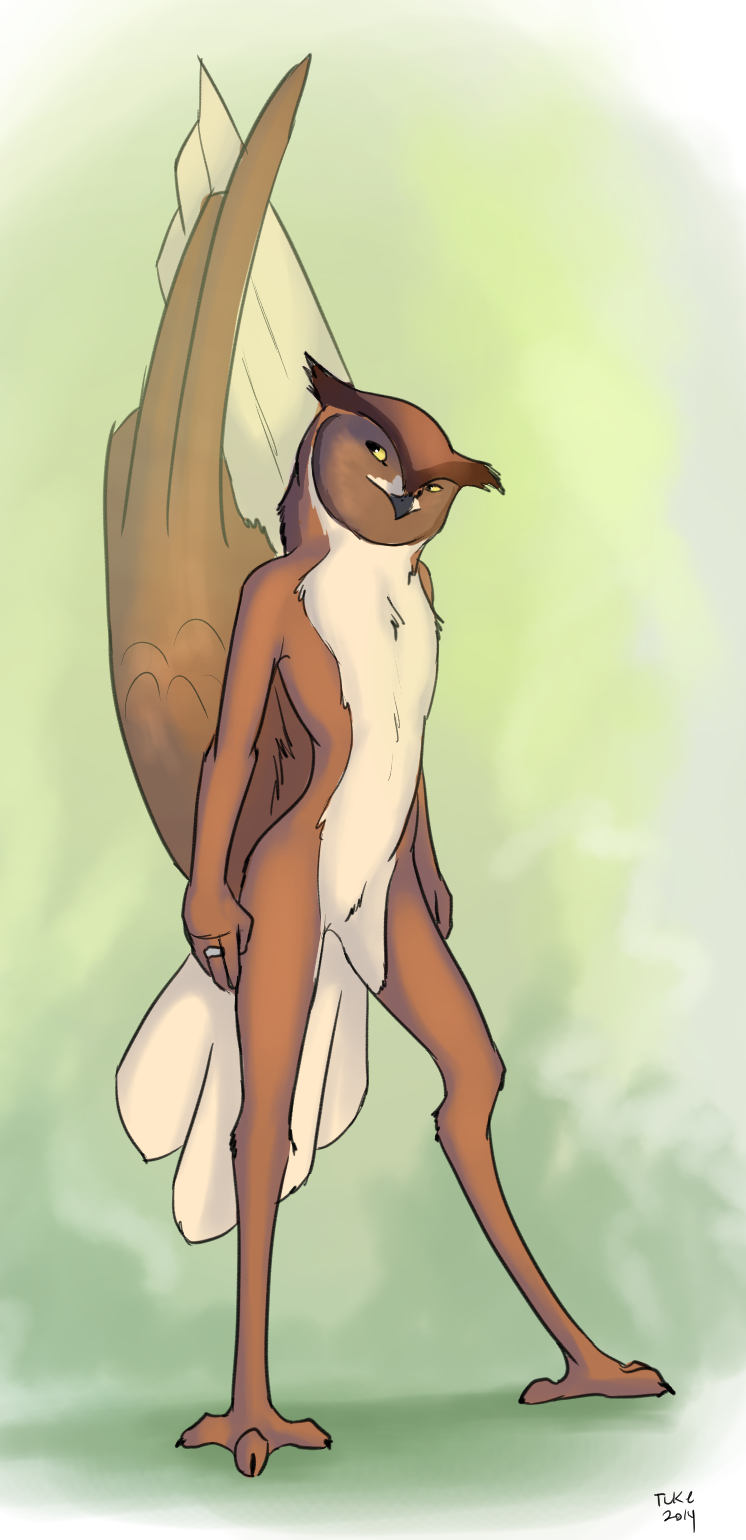 2014 ambiguous_gender anthro avian beak bird feathers featureless_crotch great_horned_owl inzoreno nude owl simple_background solo standing tail_feathers tuke wings yellow_eyes
