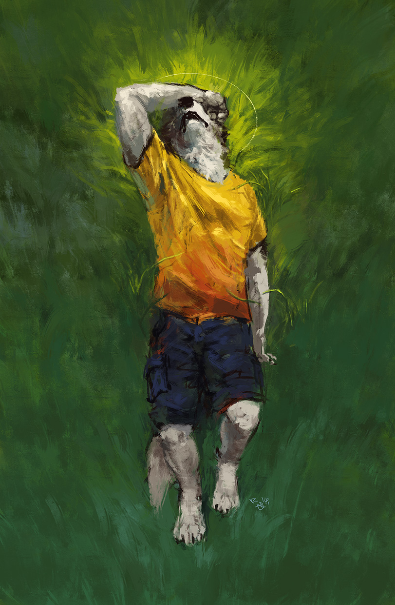 2014 4_toes anthro barefoot biped bird's-eye_view black_claws black_nose canine claws clothed clothing digital_media_(artwork) digital_painting_(artwork) dog fur grass hi_res high-angle_view lying male mammal on_back open_mouth outside racoonwolf shirt shorts signature solo t-shirt toe_claws toes white_fur white_tail