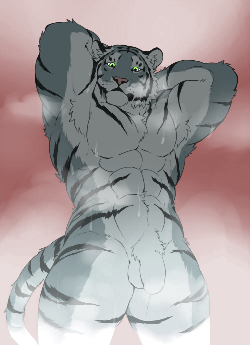 2015 abs anthro armpit_hair armpits balls barazoku biceps big_muscles black_fur black_stripes chest_tuft colored feline flaccid flexing fur giraffe_(artist) hands_behind_head hi_res humanoid_penis inner_ear_fluff lam-chan looking_at_viewer low-angle_view male mammal multicolored_fur muscular muscular_male nude orange_fur pecs penis pubes roguelizard solo standing steam striped_fur stripes sweat tiger triceps tuft uncut white_fur