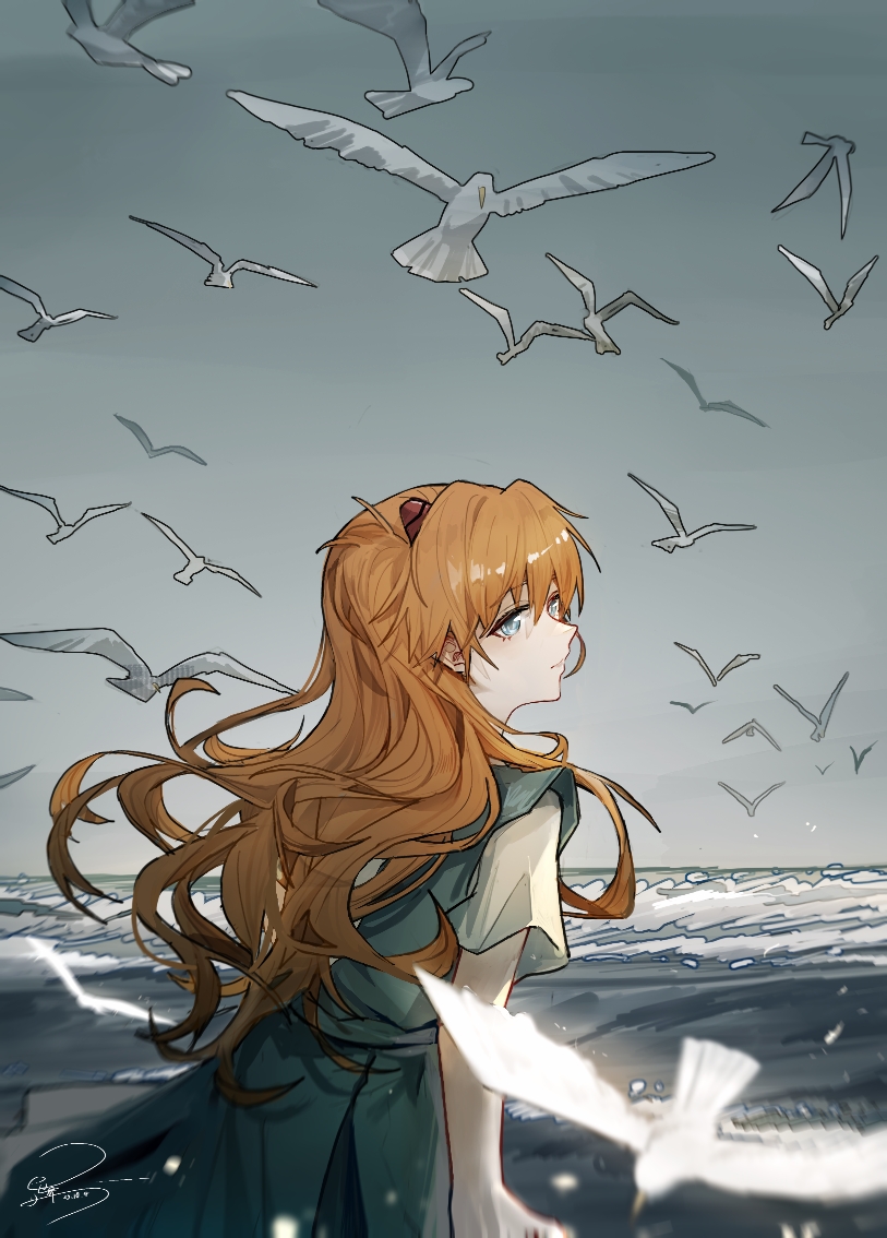 1girl bird blue_eyes cloud cloudy_sky day landscape long_hair neon_genesis_evangelion ocean orange_hair outdoors seabird seagull short_sleeves signature sky souryuu_asuka_langley standing user_ppsz4555 water waves