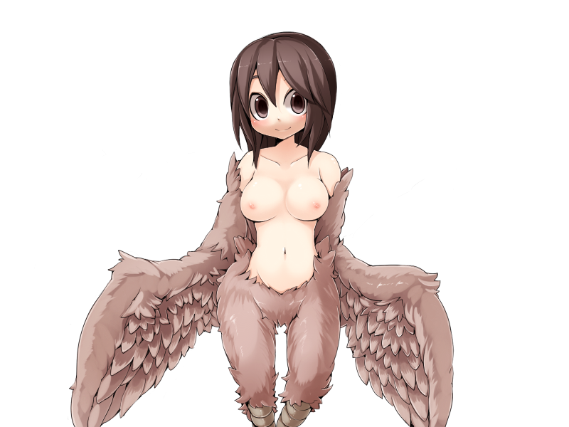 1girl bird_legs blush bmp-to-png_conversion breasts brown_eyes brown_feathers brown_hair brown_wings feathered_wings feathers frfr harpy long_hair looking_at_viewer medium_breasts mon-musu_quest! monster_girl navel nipples non-web_source nude pina_(mon-musu_quest!) solo transparent_background winged_arms wings