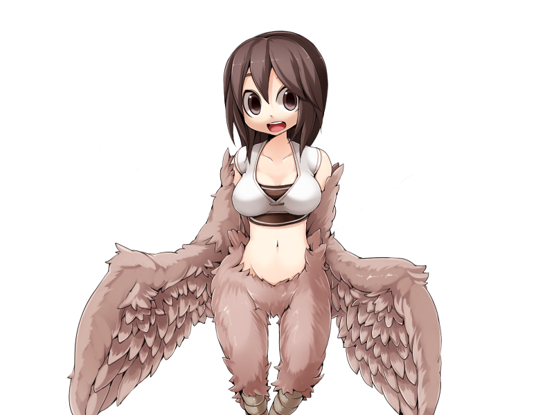 1girl bandeau bird_legs blush bmp-to-png_conversion breasts brown_bandeau brown_eyes brown_feathers brown_hair brown_wings crop_top feathered_wings feathers frfr harpy long_hair looking_at_viewer medium_breasts midriff mon-musu_quest! monster_girl navel non-web_source open_mouth pina_(mon-musu_quest!) shirt solo teeth transparent_background upper_teeth_only white_shirt winged_arms wings