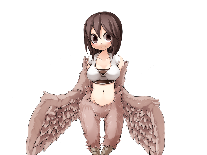 1girl bandeau bird_legs blush bmp-to-png_conversion breasts brown_bandeau brown_eyes brown_feathers brown_hair brown_wings crop_top feathered_wings feathers frfr harpy long_hair looking_at_viewer medium_breasts midriff mon-musu_quest! monster_girl navel non-web_source pina_(mon-musu_quest!) shirt smile solo transparent_background white_shirt winged_arms wings