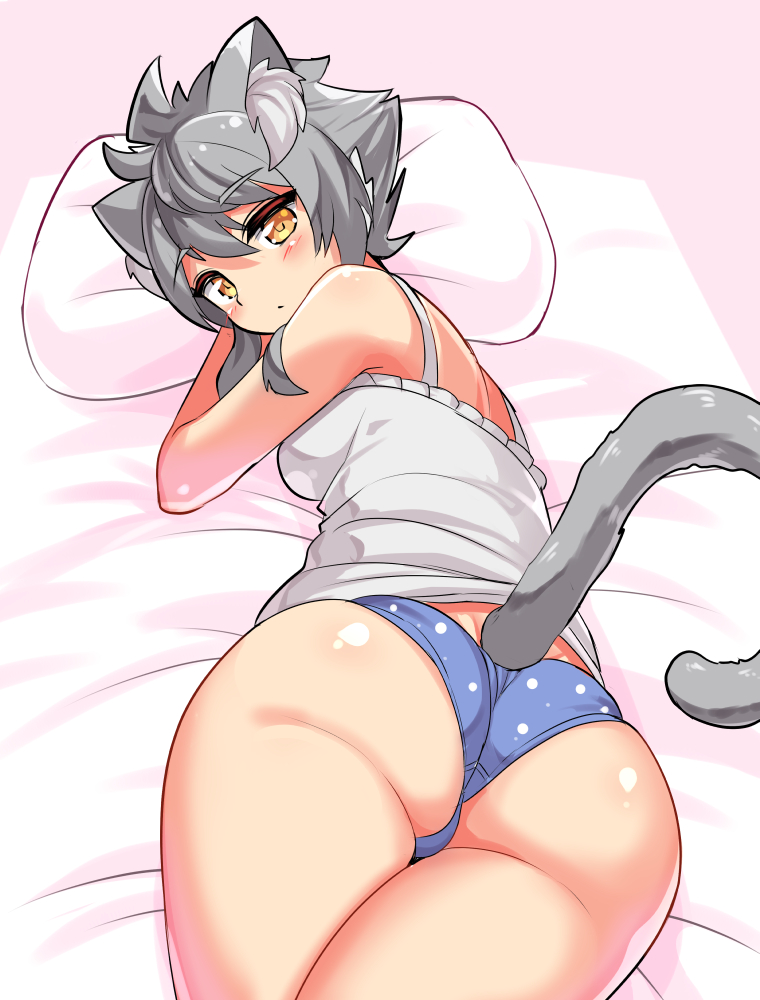 1girl animal_ears ass bed blue_panties camisole cat_ears cat_girl cat_tail closed_mouth commentary cougar_(cougar1404) crotch_seam from_above grey_hair light_frown looking_at_viewer looking_back lying on_stomach original panties pillow polka_dot polka_dot_panties short_hair skindentation solo tail underwear underwear_only white_camisole yellow_eyes