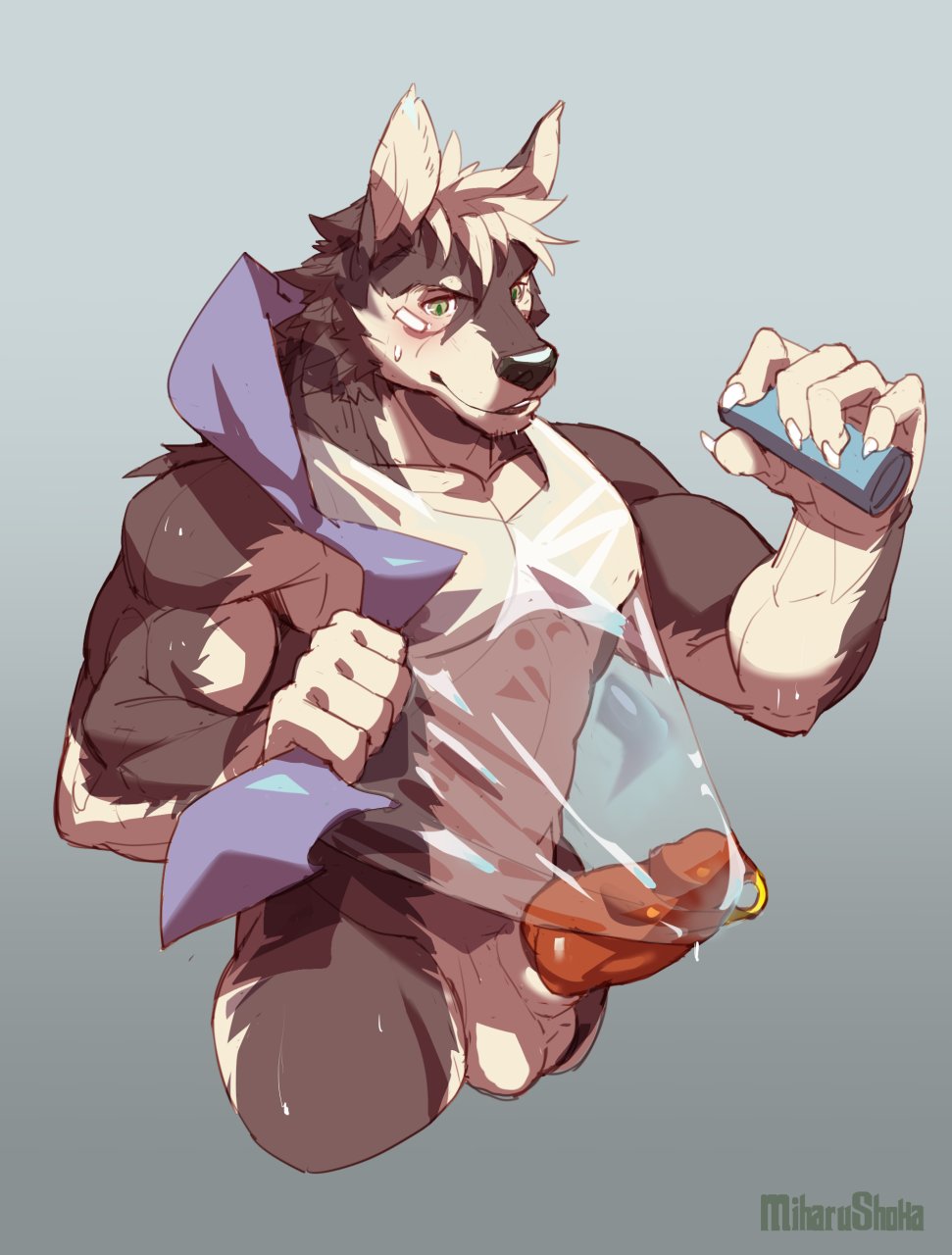 anthro balls canine clothing male mammal miharushoka muscular penis shirt simple_background solo wet_shirt wolf