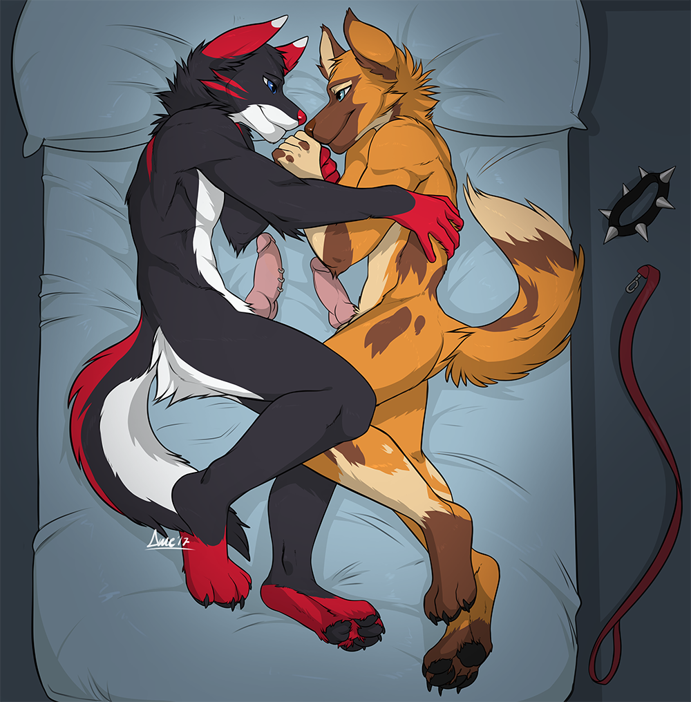 african_wild_dog angiewolf anthro bed blue_eyes canine claws collar cuddling cute duo erection fur leash love lying male male/male mammal nude pawpads paws penis piercing romantic_couple toe_claws toes wolf