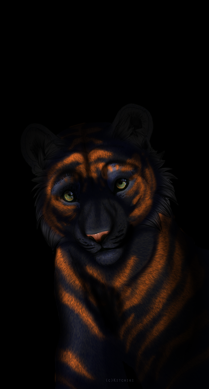 black_fur feline feral fur green_eyes kitchiki mammal orange_fur pink_nose solo striped_fur stripes tiger